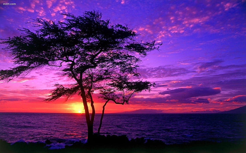 Pretty Sunset, beautiful sunset backgrounds HD wallpaper
