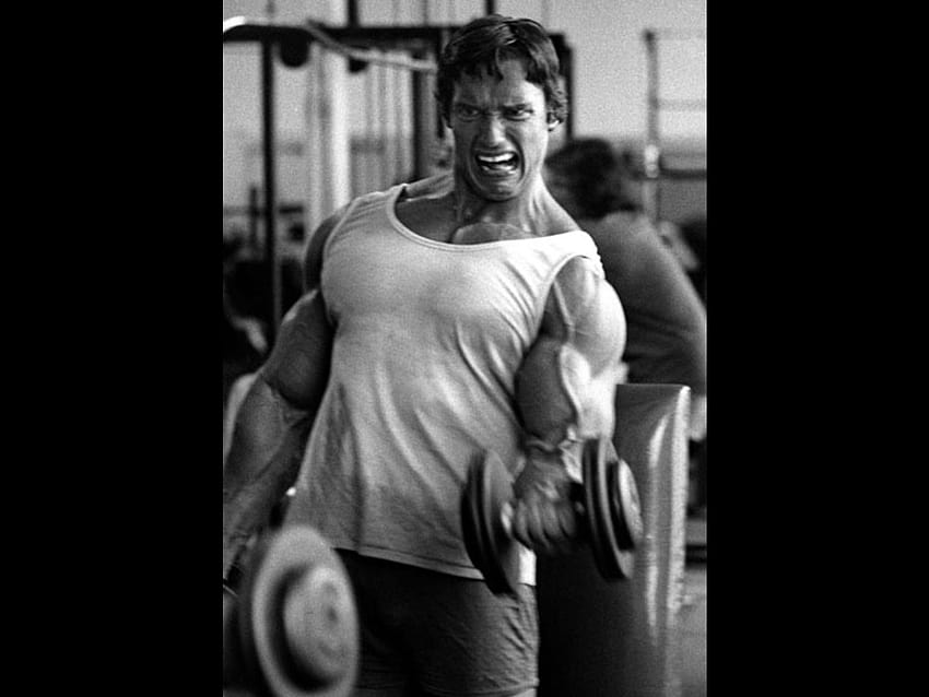 Arnold Schwarzenegger Bodybuilding Backgrounds 1 HD wallpaper
