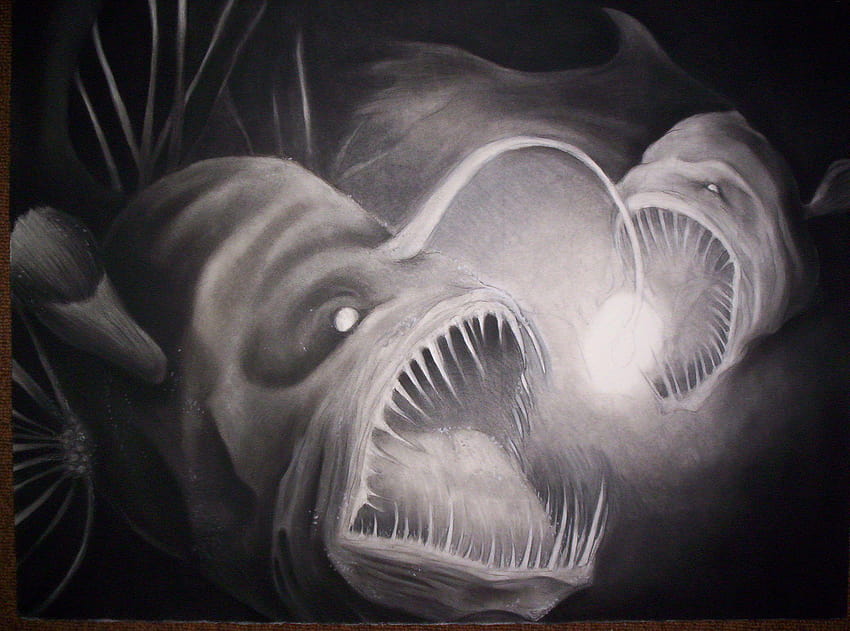 angler fish mask, anglerfish HD wallpaper
