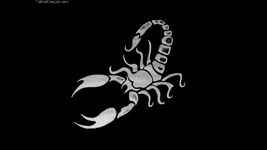 4 Scorpioni, logo della fascia degli scorpioni Sfondo HD