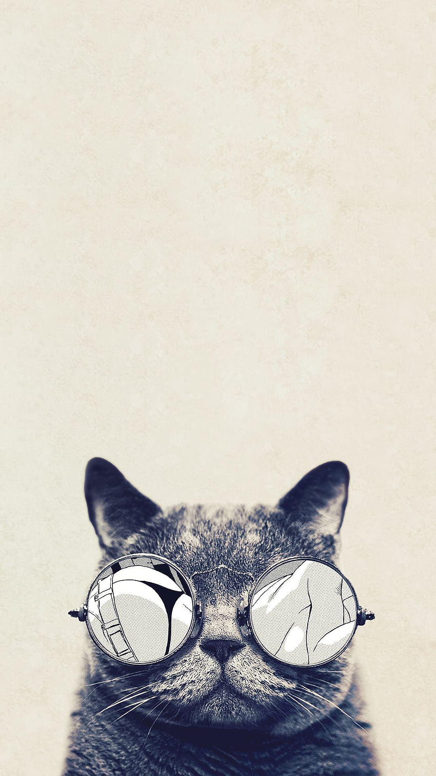 Funny iPhone To, hipster cat tumblr backgrounds HD phone wallpaper | Pxfuel