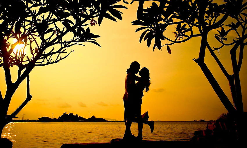 mood girl guy love men a woman hug tree leaves silhouette sunset, love nature HD wallpaper