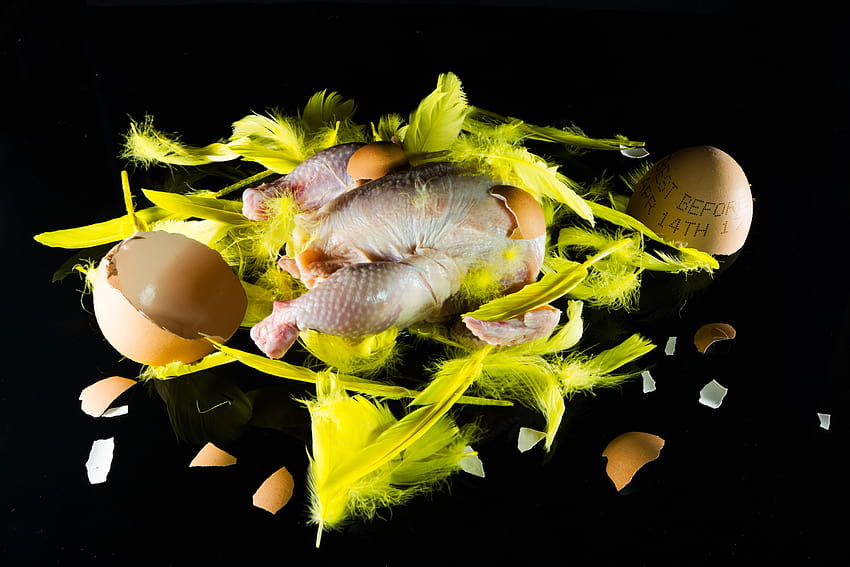 : Easter, eggs, egg, Chicken, jesus, feathers, poultry, yellow, feather, alternative, religion, religious, meat, hatch, nature, shell, black, background, reflection, reflect 7952x5304, easter yellow HD wallpaper