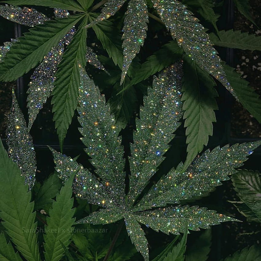 aesthetic cannabis HD phone wallpaper