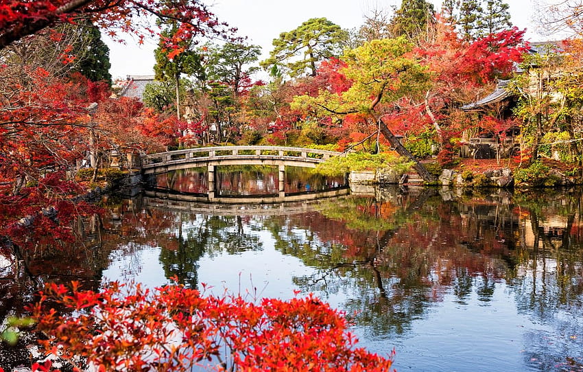 musim gugur, daun, pohon, jembatan, danau, Taman, Jepang, Jepang, Kyoto, Kyoto, pemandangan, jembatan, taman, musim gugur, danau, daun, bagian пейзажи, musim gugur danau jepang Wallpaper HD