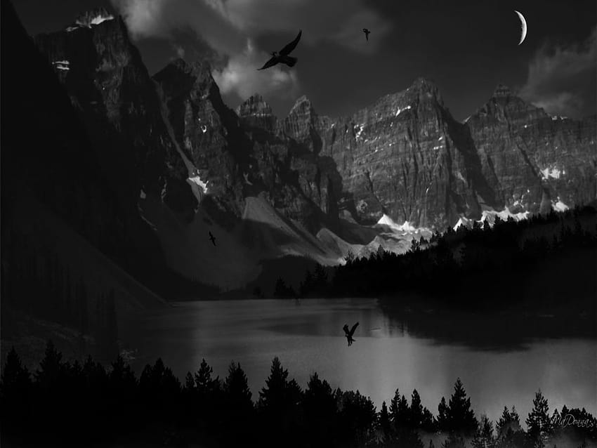 Dark Nature HD wallpaper | Pxfuel