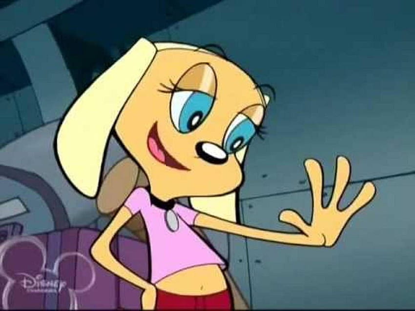 Brandy bares her navel by JAMNetwork, brandy and mr whiskers HD wallpaper