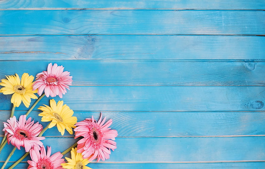 flowers, background, yellow, colorful, pink, gerbera, yellow, wood, pink, flowers, spring, gerbera , section цветы, pink and yellow spring HD wallpaper