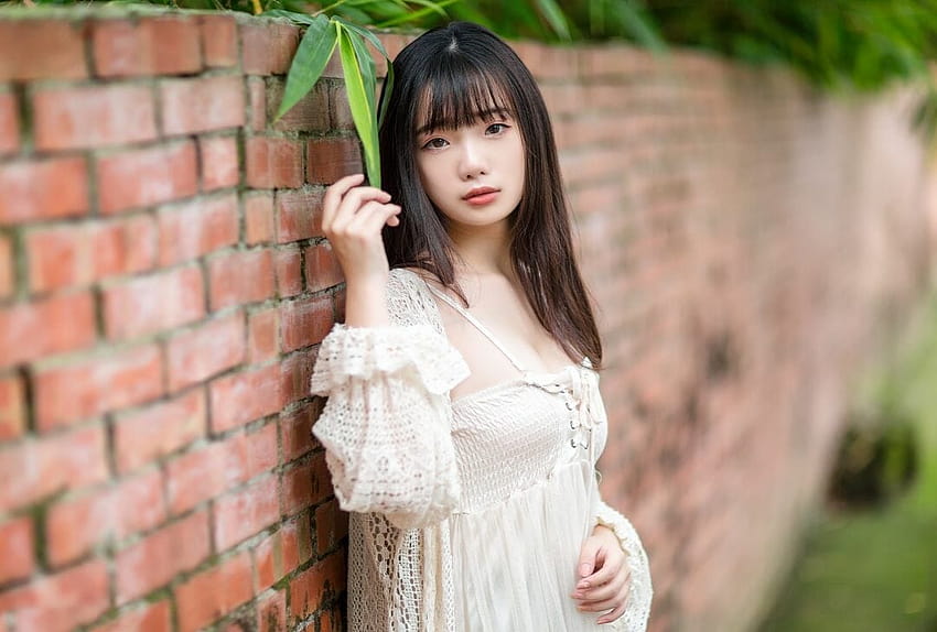 2219 Modell Ning Shioulin Tiefenschärfe Brünette Ziegelsteine ​​Langes Haar Frauen Asiatin lehnend HD-Hintergrundbild