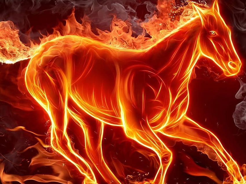 Fire horse, the fire stallion HD wallpaper