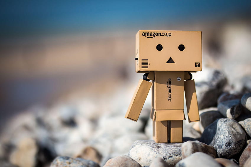 Discover more than 182 danbo wallpaper latest