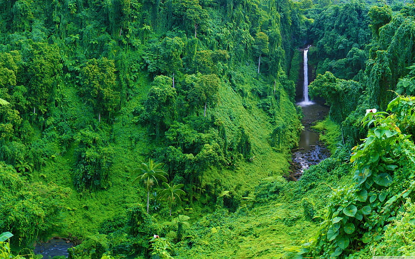 Jungle Waterfall ❤ für • Dual Monitor, Regenwaldwasserfall HD-Hintergrundbild