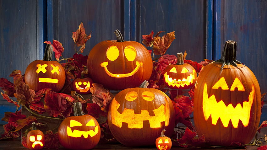 Halloween, Kürbis, Calabaza, Dekoration • Für Sie Für & Mobile, Halloween-Kürbis-Ornament HD-Hintergrundbild