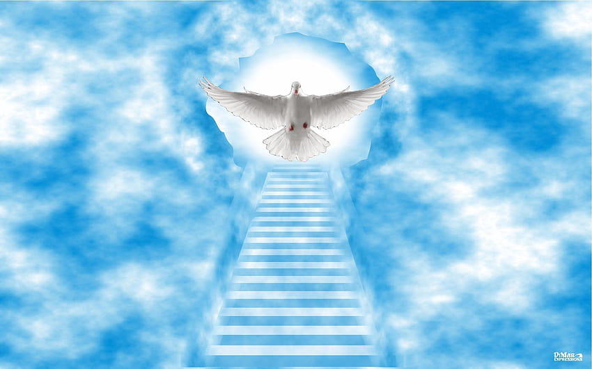 Stairway to Heaven, im Himmel HD-Hintergrundbild