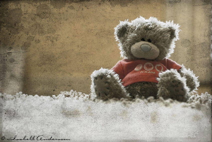 Teddy Bear Iphone HD wallpaper | Pxfuel