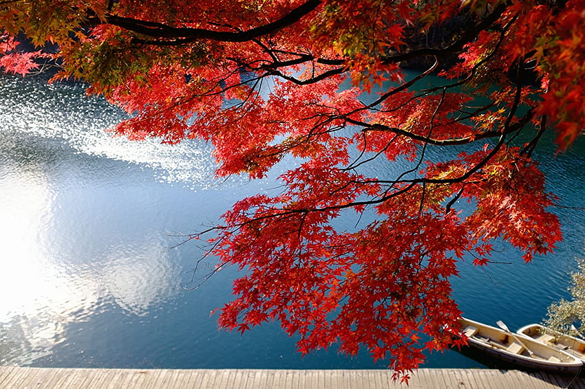 Japan Lake Bishamon Bandai Fukushima acer Nature HD wallpaper