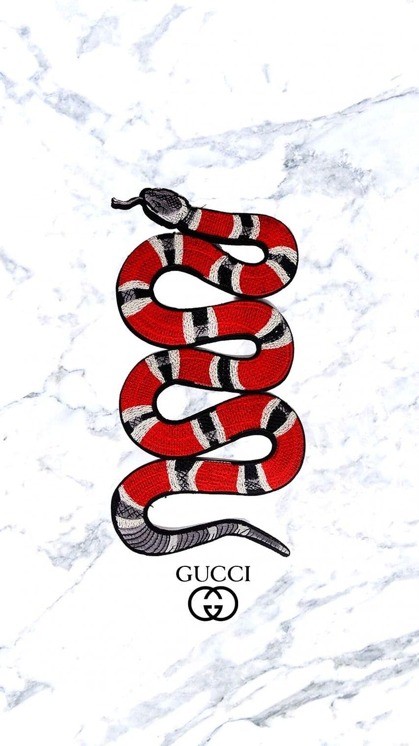 Gucci 'Snake' Poster – Posters Plug