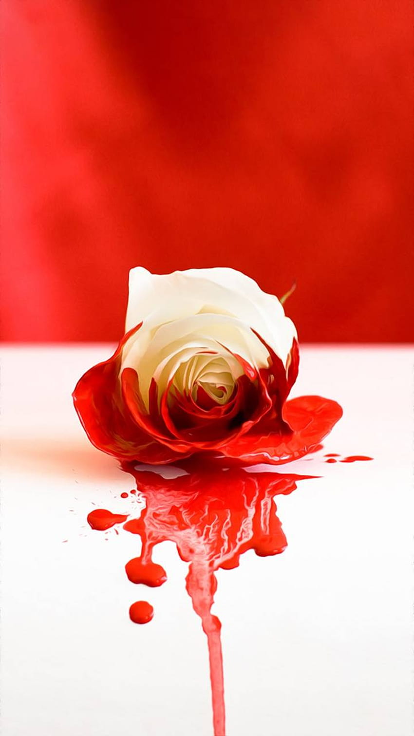 Bloody Rose by Zotmen, blood rose HD phone wallpaper | Pxfuel