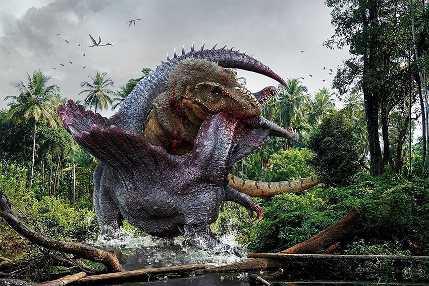 Tyrannosaurus rex Dinosaurs vs Spinosaurus 2 Fight, trex HD wallpaper ...