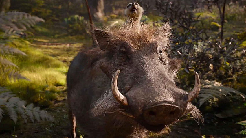 New THE LION KING TV Spot Focuses on Timon and Pumbaa, timon and pumbaa 2019 HD wallpaper