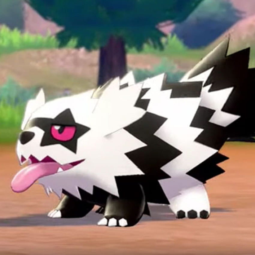 Pokémon Sword and Shield' Trailer Shows Galarian Forms, Team Yell, galarian zigzagoon HD phone wallpaper