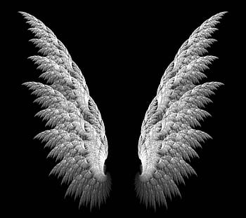 Free Black Angel Wings Photos and Vectors