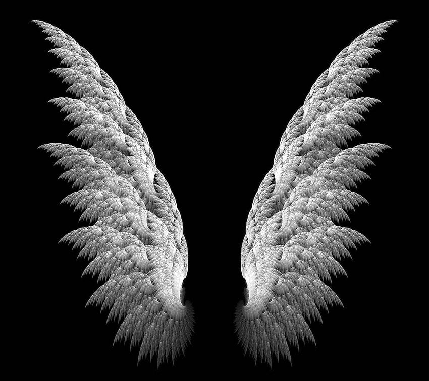 Flügel, Feder, schwarz, weiß, Flügel, schwarz und weiß, schwarze und weiße Engelsflügel HD-Hintergrundbild