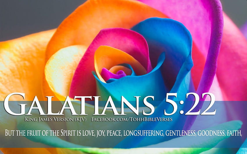 SENIOR MOMENT 4 WOMEN: DAILY SCRIPTURES & PRAISE, 29/05/14, chrétien avec des versets bibliques sur l'amour Fond d'écran HD