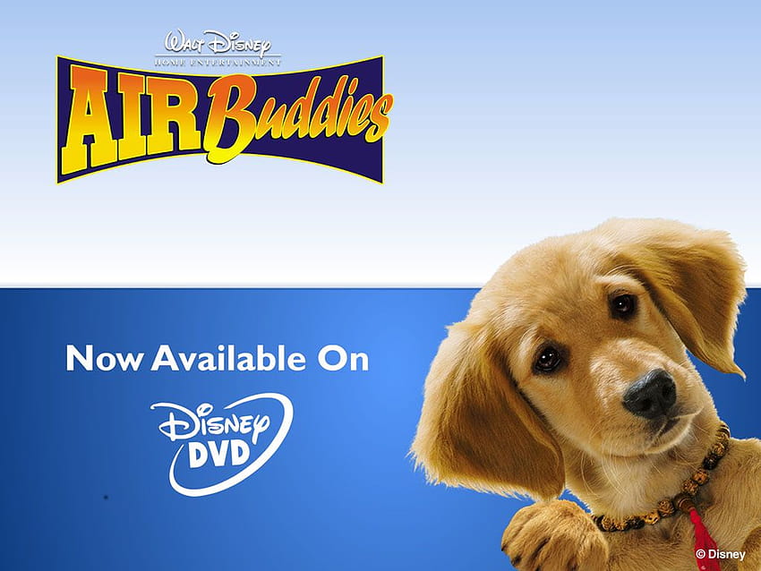 what happened to the puppies in air buddies