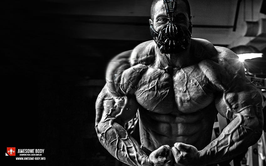 Google Search, bodybuilding gym HD wallpaper