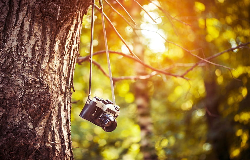 Dslr camera in the front with bokeh effect of the cityscape in the  background. Generative AI 23296077 Stock Photo at Vecteezy