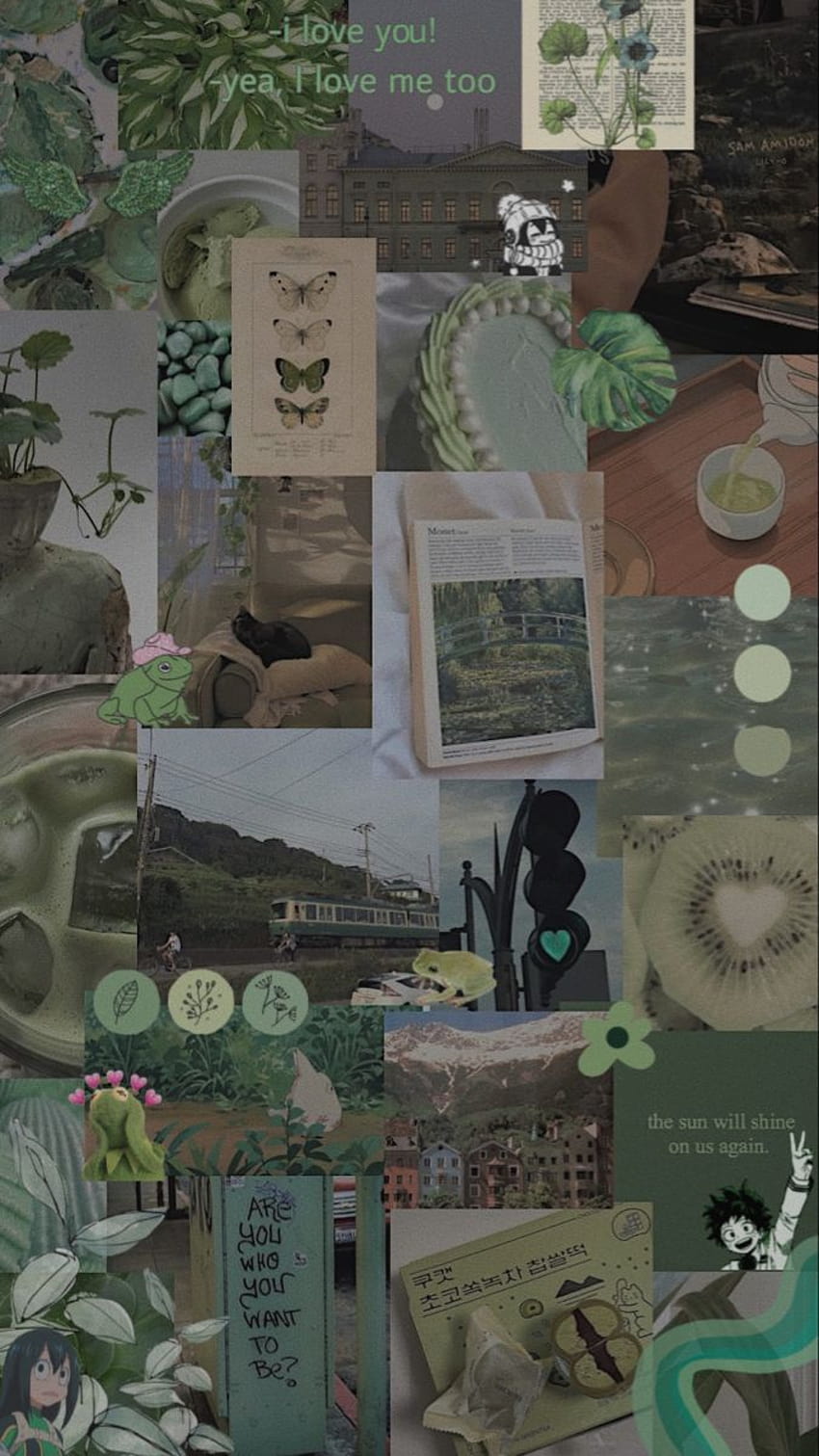 Sehen Sie sich 10 Sage Green Aesthetic Collage an, standardmäßiges salbeigrünes iPhone HD-Handy-Hintergrundbild
