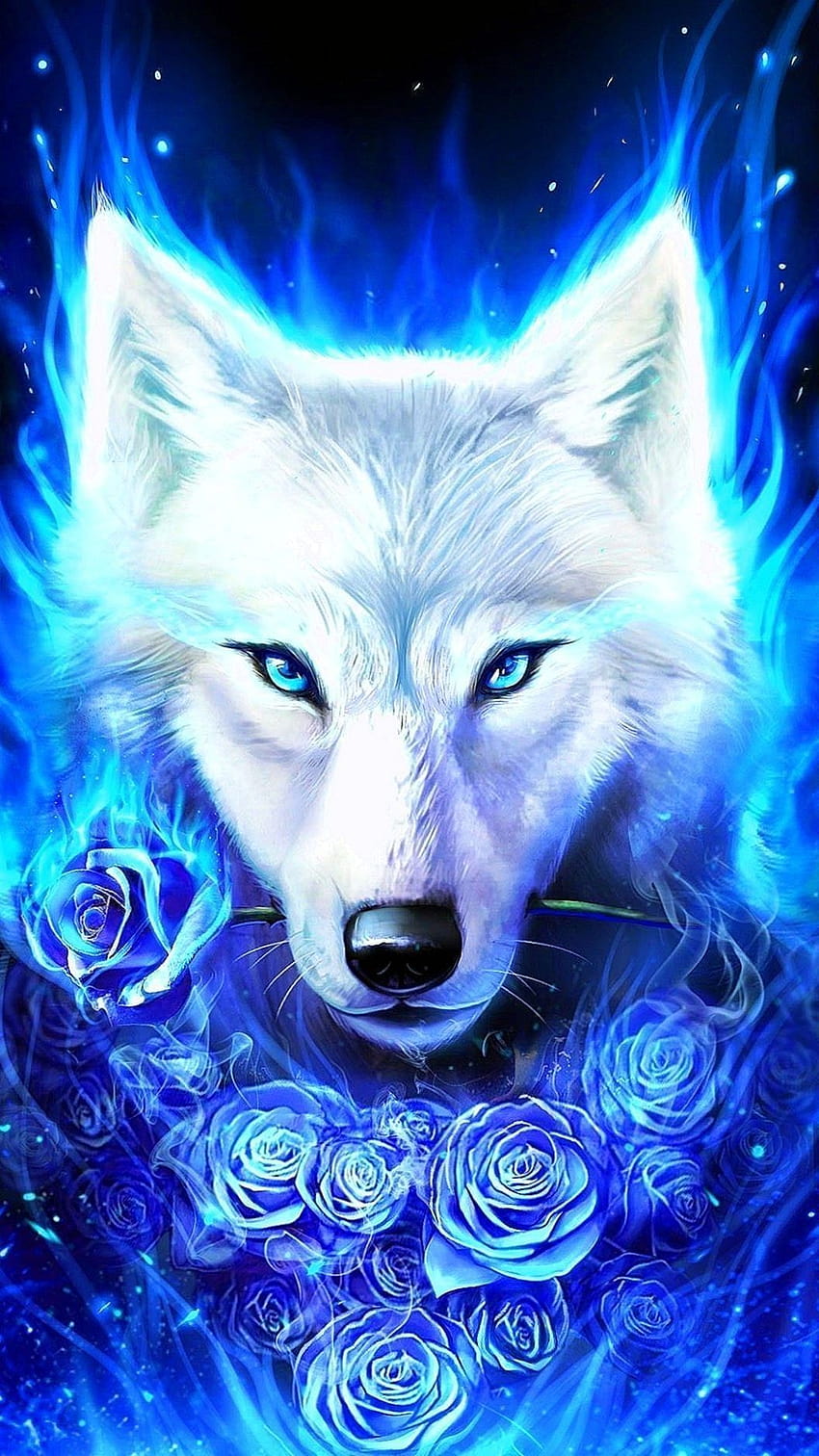 Blue Wolf Fire, loup de feu arc-en-ciel Fond d'écran de téléphone HD