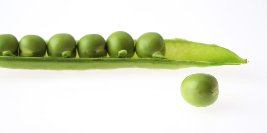 Pea , Food, HQ Pea, green peas HD wallpaper