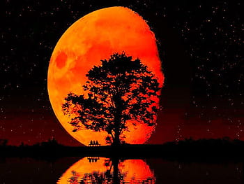 Blood Moon Rising, iPhone , Facebook Cover, Twitter Cover HD wallpaper ...