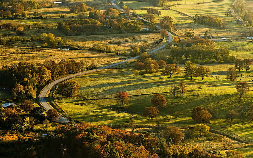 nature, Landscape, Field, Trees, Road, Village, Grass, autumn village HD wallpaper
