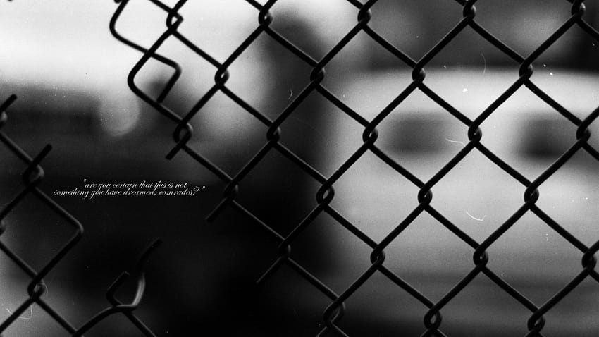 text quotes grayscale chain link fence comrade 1920x1080 High Quality ,High Definition HD wallpaper