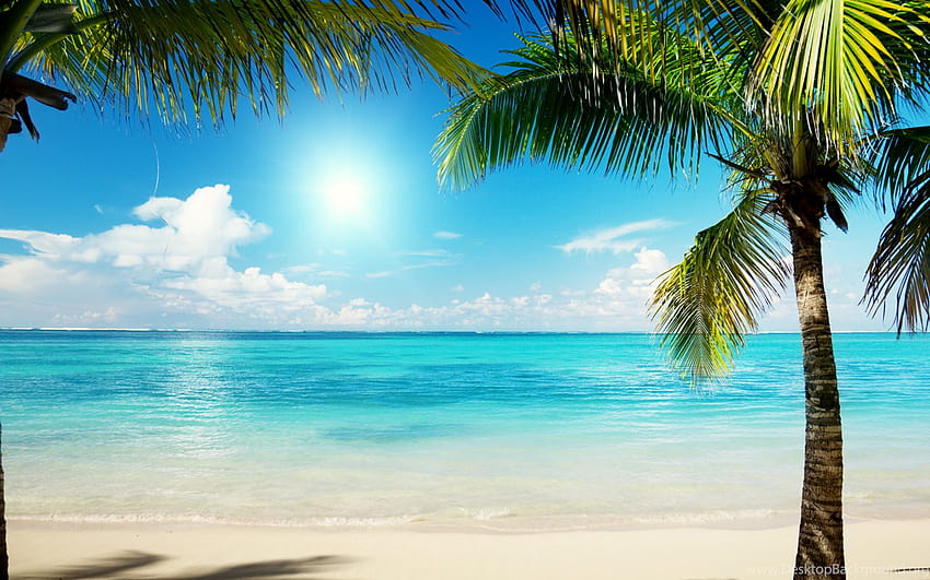 Caribbean Beach Theme Backgrounds HD wallpaper | Pxfuel