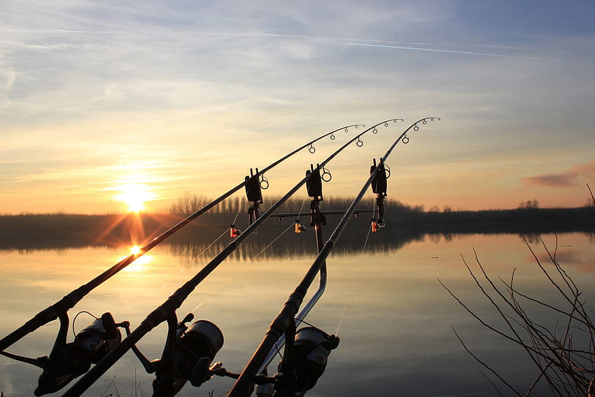 Fishing posted by Ryan Walker, carp winter HD wallpaper