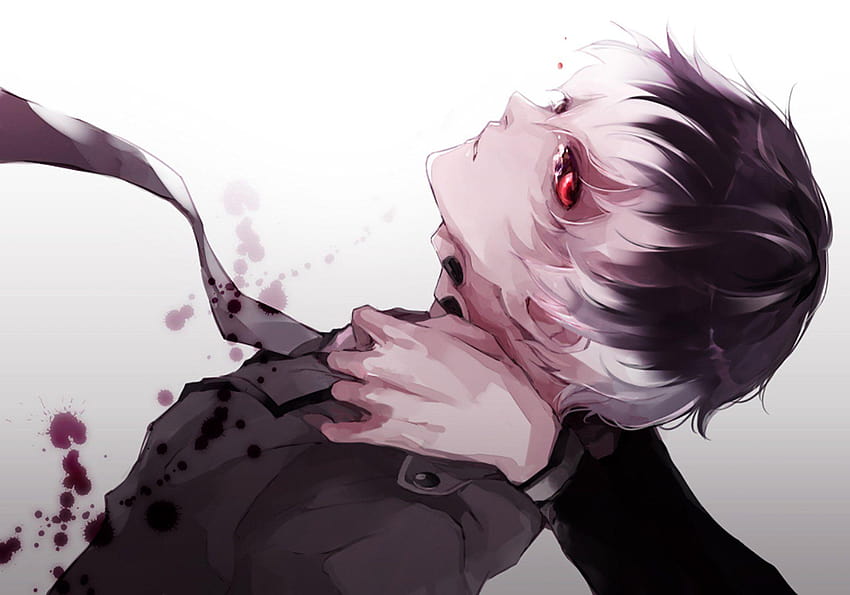 27 Haise Sasaki HD wallpaper | Pxfuel