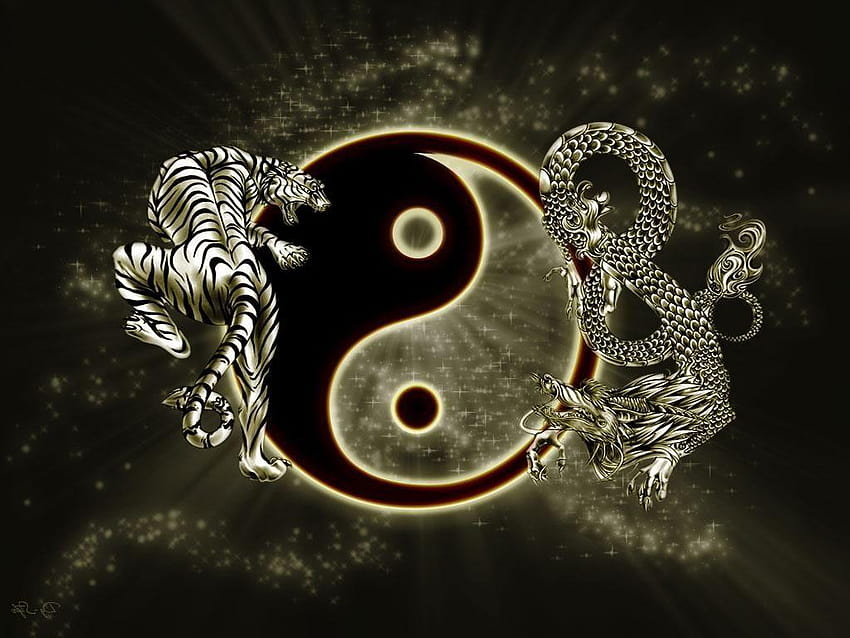 Dragon Tiger Yin Yang Pinterest • Il catalogo mondiale delle idee, yin yang drago tigre Sfondo HD