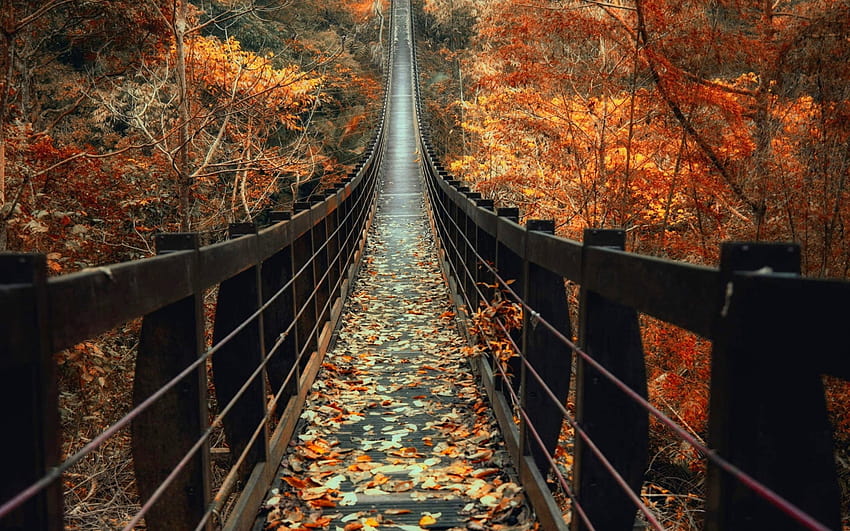 2560x1600 Autumn, Wooden Bridge, Fall, Leaves, Path for MacBook Pro 13 inch, autumn wooden HD wallpaper