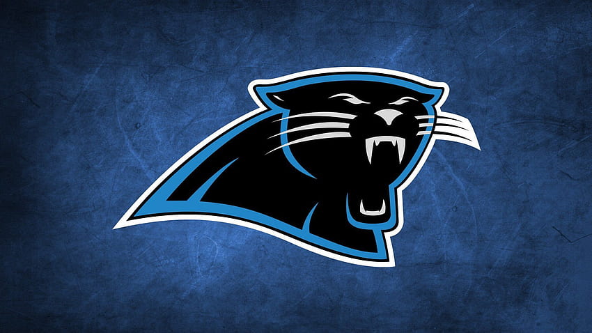 Carolina Panthers Logo, sport team logos HD wallpaper