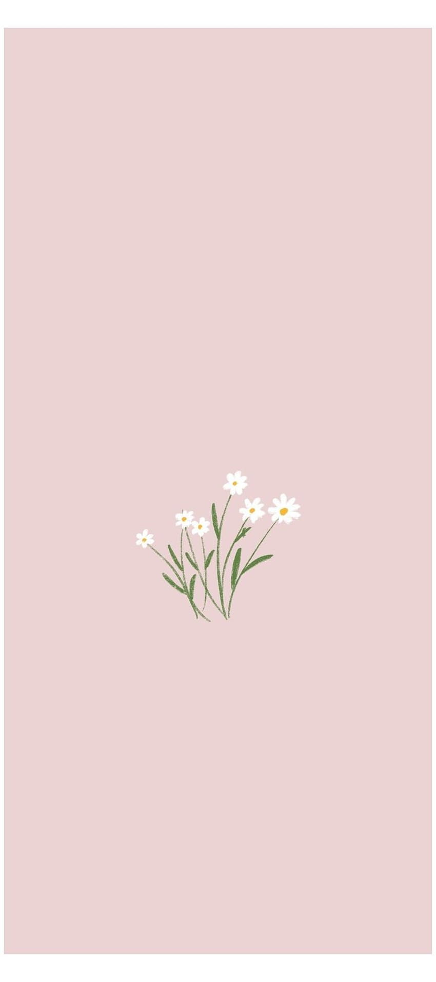 Flowers in 2021, aesthetic flowers simple HD phone wallpaper | Pxfuel