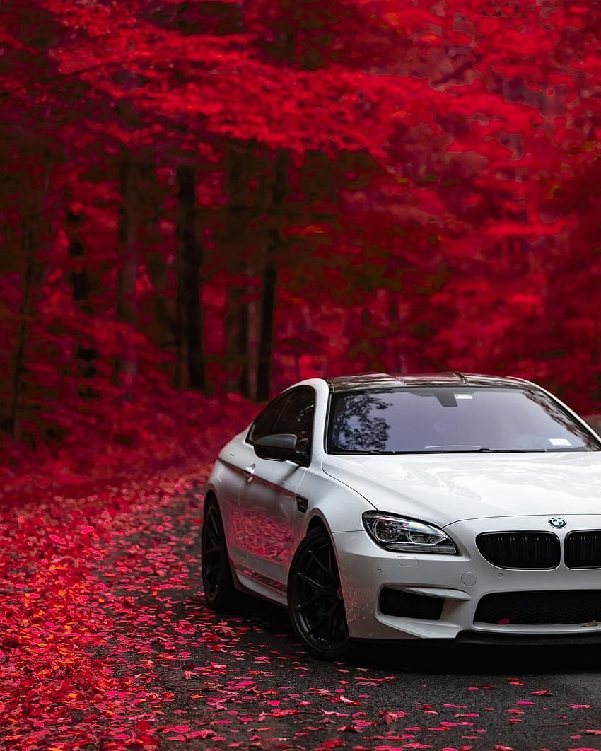 Sonbahar, şaşırtmak için pek çok fırsat sunuyor. BMW M6 Coupé. @philsags, sonbahar BMW'si HD telefon duvar kağıdı