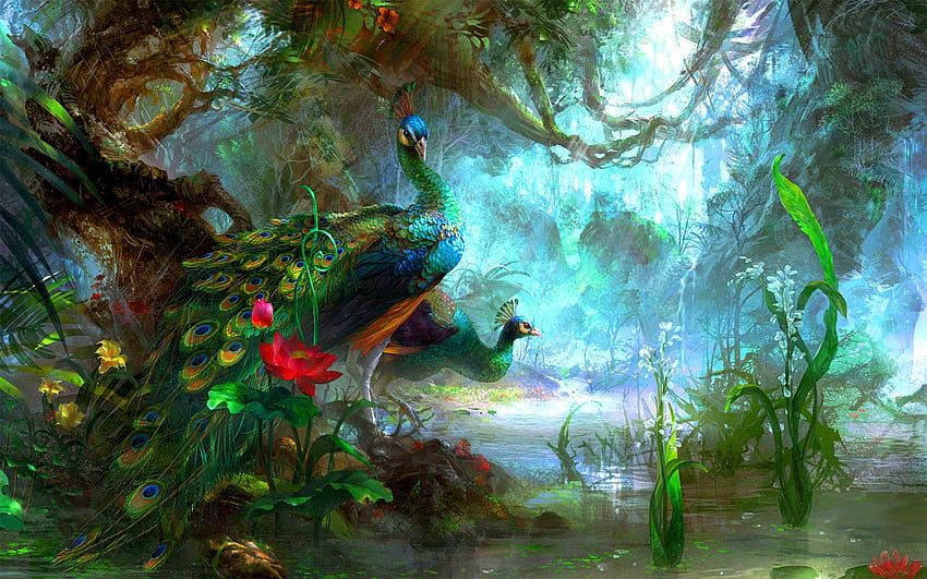 Peacock, burung merak HD wallpaper