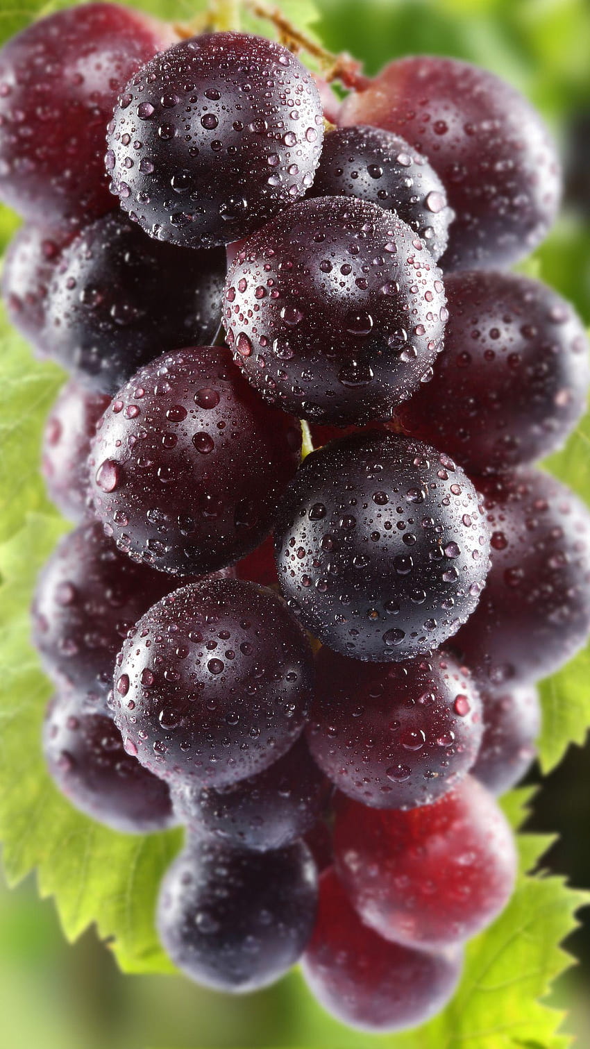 grapes Galaxy S6, graps HD phone wallpaper