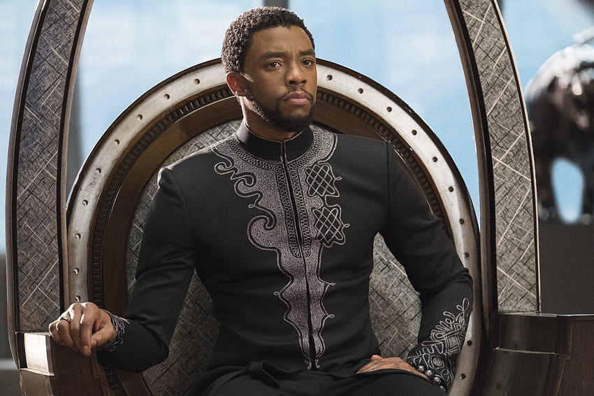 Chadwick Boseman Black Panther 2018, Movies, Backgrounds, and HD wallpaper