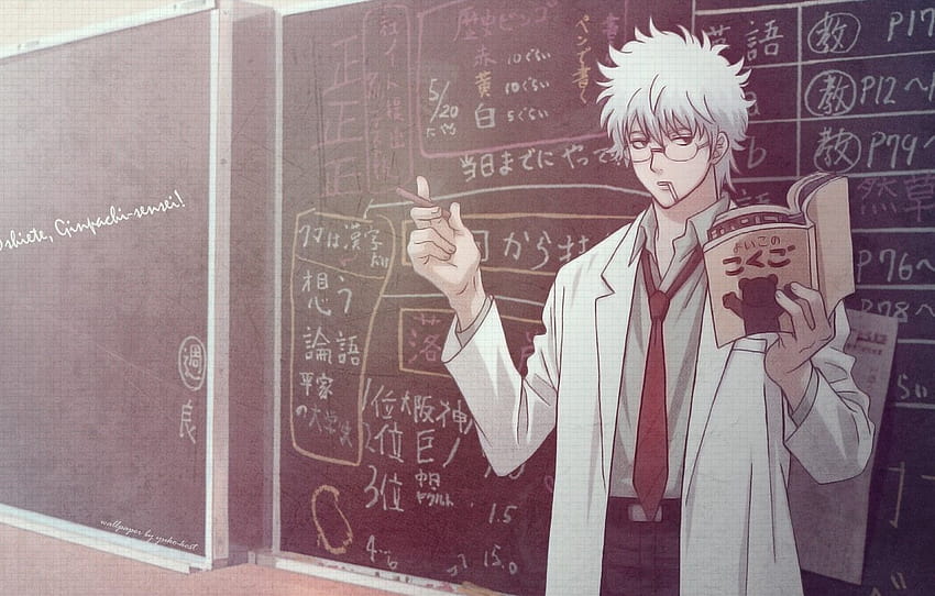 professor, Gintoki, Gintama, seção, professor anime papel de parede HD