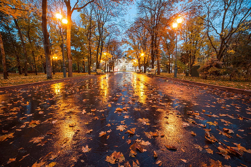Parco autunnale della città dopo la pioggia con paesaggio, autunno e autunno, piovosa città autunnale Sfondo HD